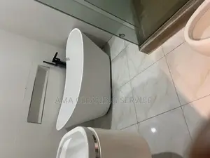 Professional Cleaning Services