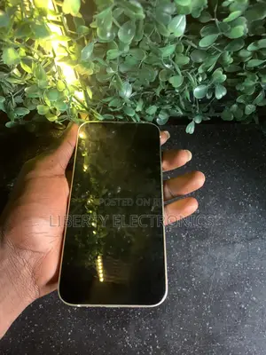 Apple iPhone 13 128 GB White