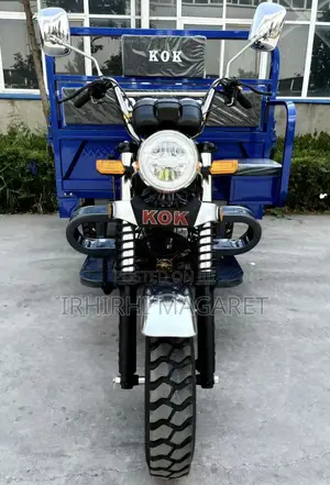 New Tricycle 2025 Blue