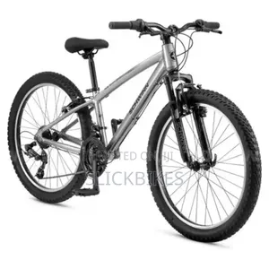 Schwinn Ranger 24" Mountain Bike - Silver