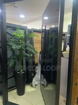 Pivot Door