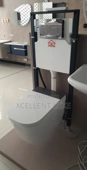 Sensor/Manual Concealed Wc, Self Flushing With Good Flushing System