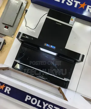 Original Polystar New Design Inverter Voice Command Heat Extractor