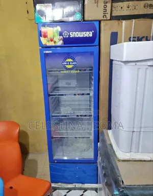 Snowsea Showcase Chiller 299l
