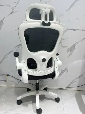 Ergonomic Office Chair With Plastic Leg