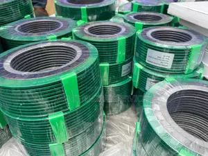 10" Spiral Wound Gasket 150#