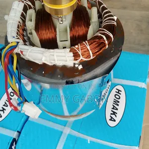 Complete Coil for Generator Ec3000/6.5hp(100per Copper)3.5kva