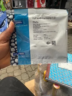 Yoflex Culture 381,811, 903