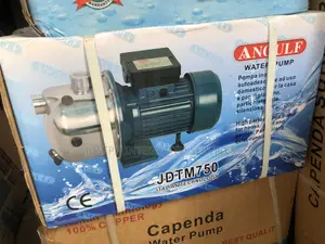 Angulf Jdtm750 Self-Priming Water Pump