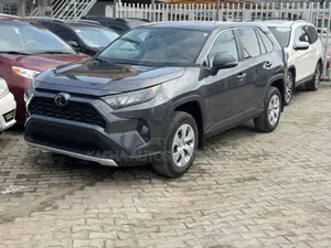 Toyota RAV4 2024 Gray
