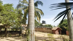 Garden for Sale