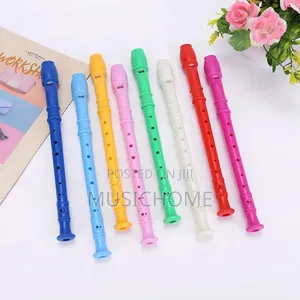 Children Recorder For Schools And Home Use