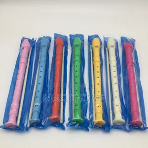 Children Recorder For Schools And Home Use