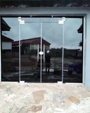 Black Tinted Frameless Glass Doors