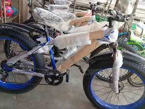 Adult Bicycle,Fat Tyre Bicycle