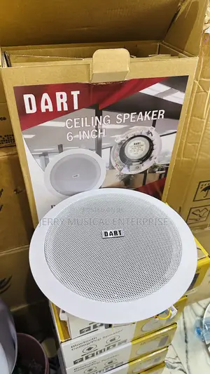 40watts Dart Ceiling Speakers