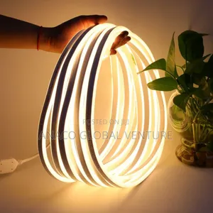 Unique Neon Rope Light 50 Meters in Carton Warm White Light.