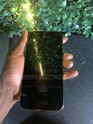 Apple iPhone 12 Pro Max 128 GB Gold