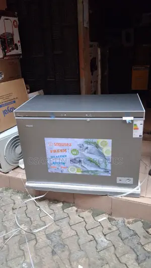 Snowsea Deep Freezer 300 Litre With Glass Door, One Year Warranty