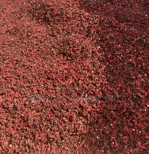 Hibiscus Flawer Zobo