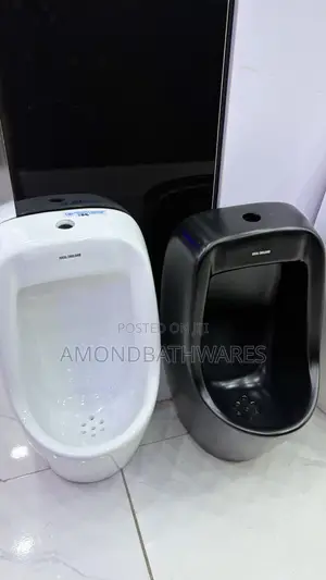 Urinal Bowl