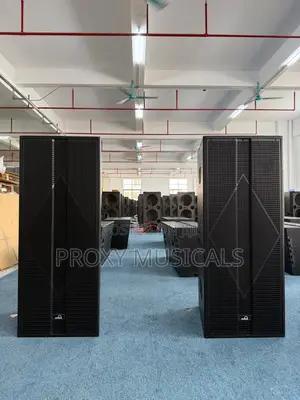 Dumson Full Range Speakers Ds315