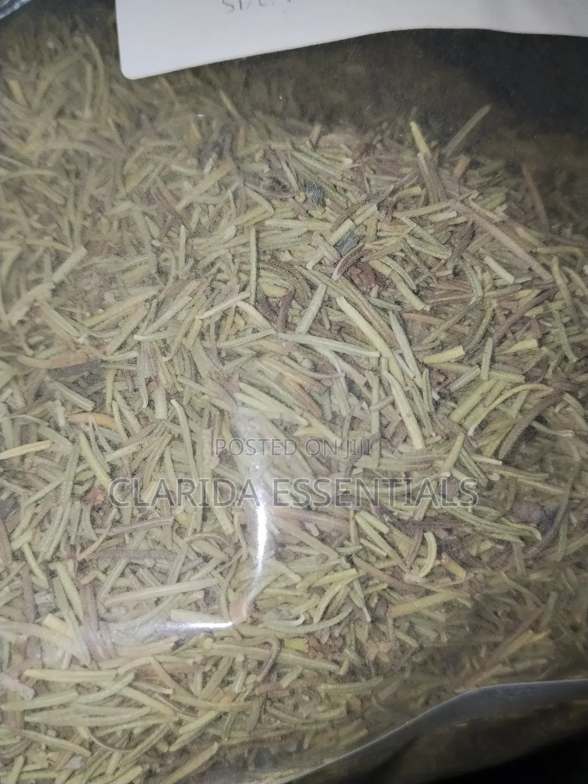 Original Rosemary Herb