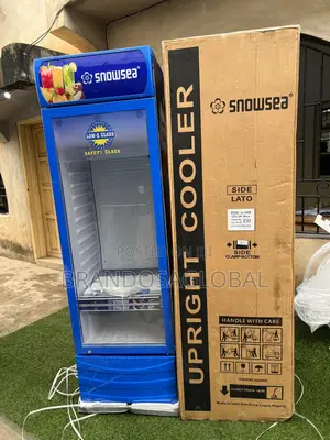 Snowsea 400l Commercial Upright Showcase Chiller Lc-400