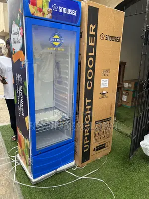 Snowsea 400l Shop Display Chiller Lc-400