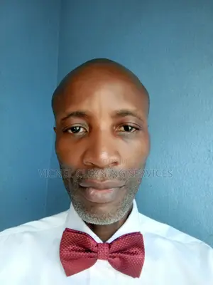 Professional Online English Tutor (Tesol/Tefl Certified)