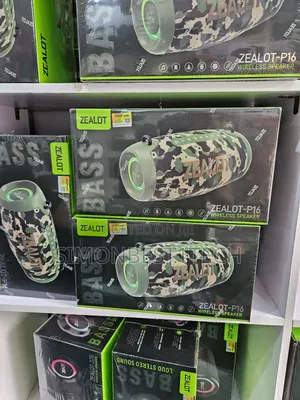 P16 Speaker