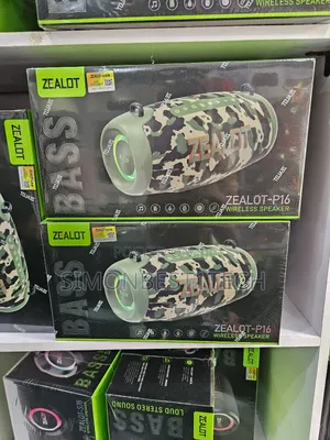P16 Speaker