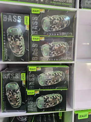 P16 Speaker