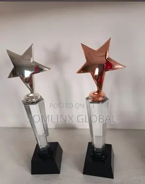 Silver and Bronze Trophy, Black Base