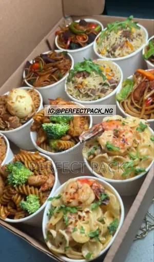 White Food Container