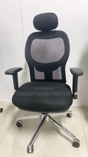 Ergonomic Mesh Swivel Chair