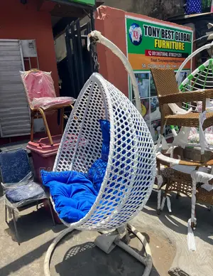 Bubble Swing Chair