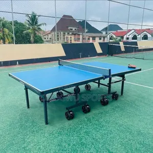 Big Tyre Joola Outdoor Table Tennis J0721