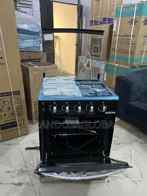 Aeon 3+1 Standing Gas Cooker Agc6031r Durable Kitchen Cooker