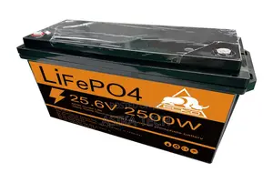 Ecko 25.6v 2500w Lifepo4 Lithium Iron Phosphate Deep Cycle Battery!