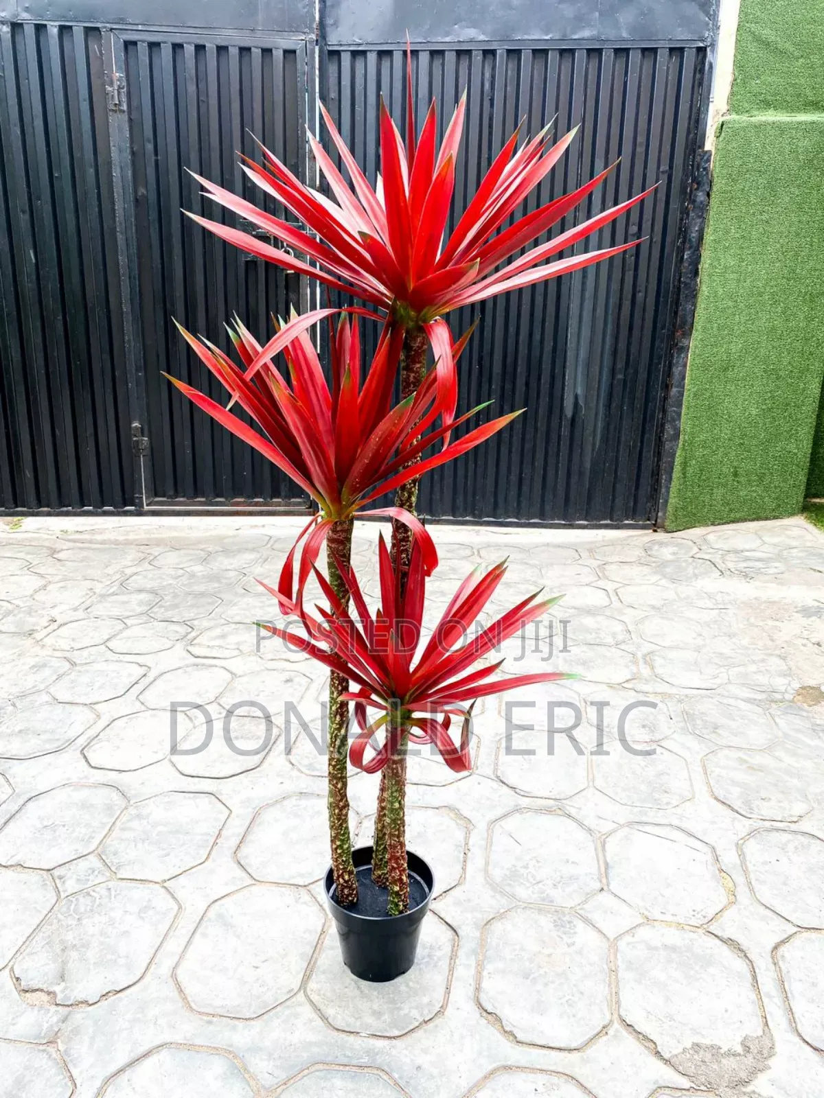 Modern Stunning Flowers