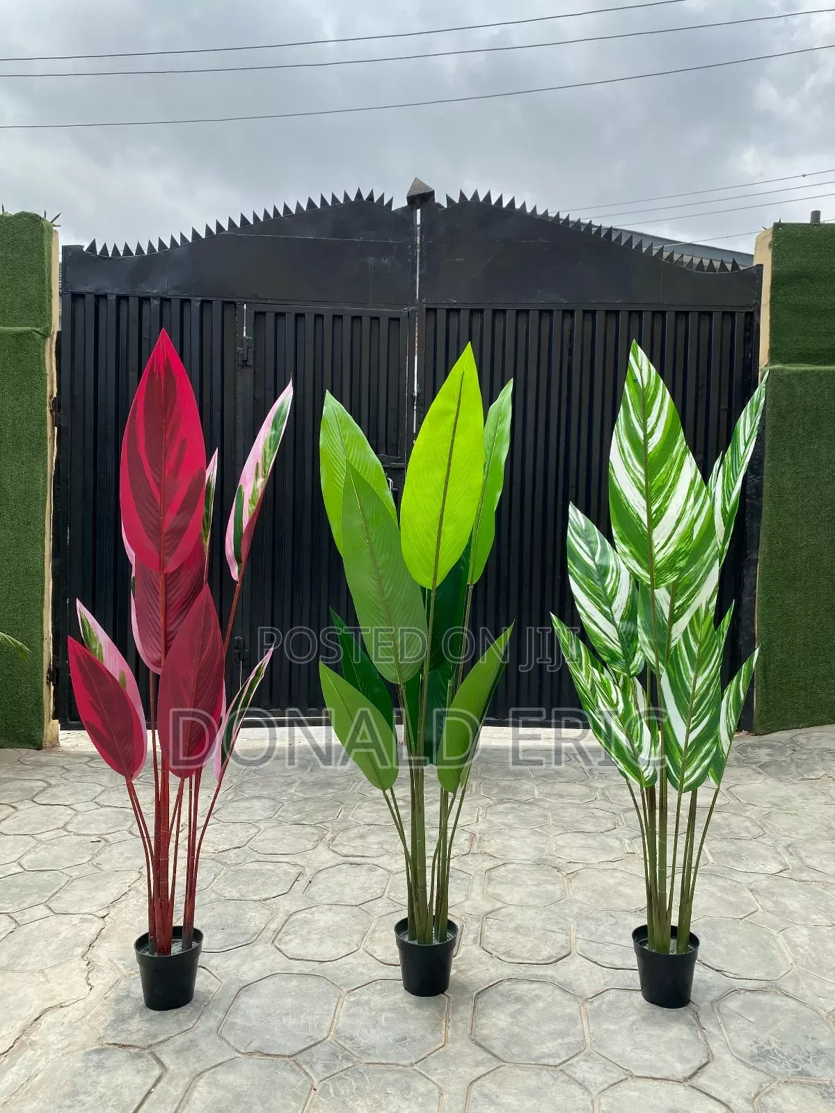 Modern Stunning Flowers