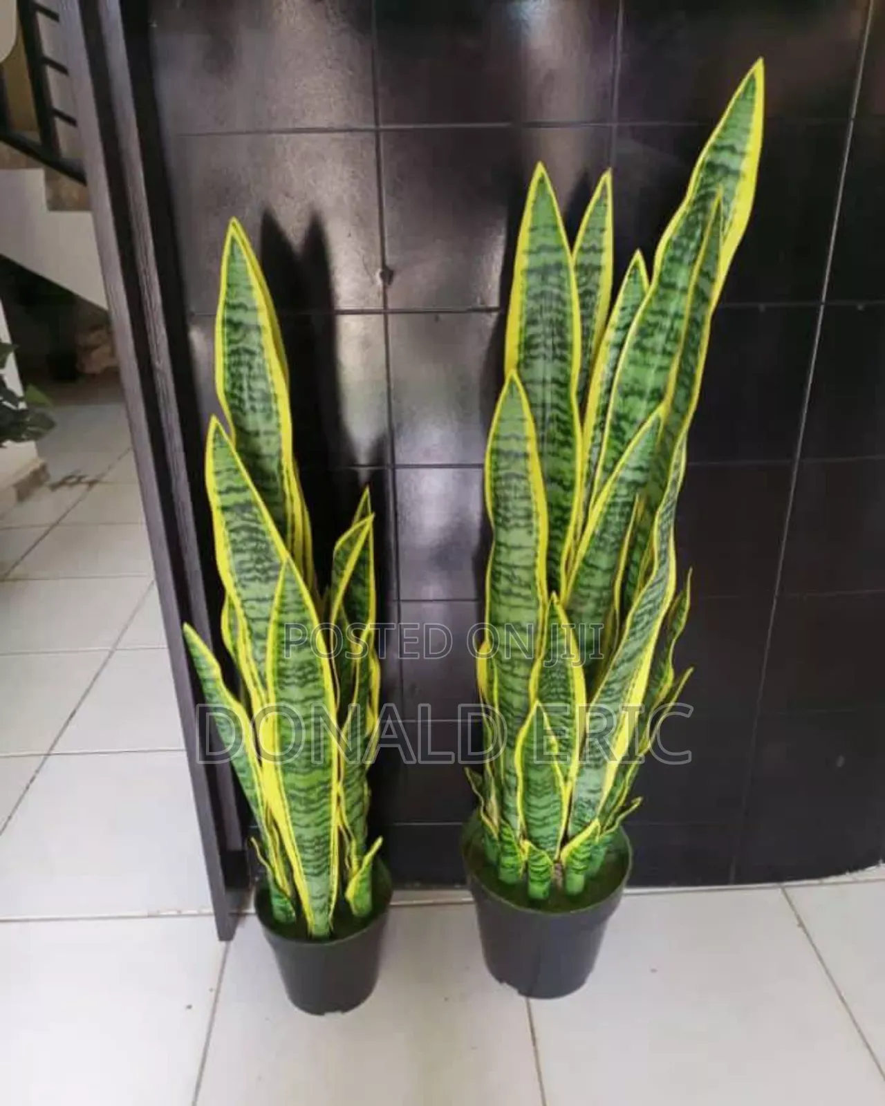 Modern Stunning Flowers
