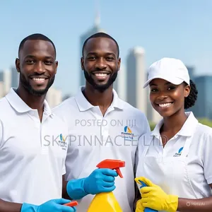 Sky Pinnacle Cleaning Services
