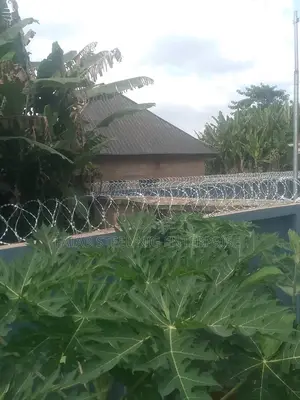 Wholesale and Distributor Galvanized Anti Rust Razor Wire