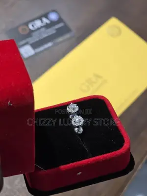 925 Quality Luxury Earrings Passes the Diamond Test
