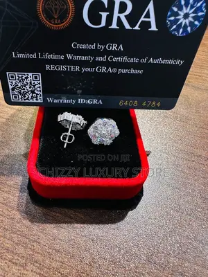 925 Quality Luxury Earrings Passes the Diamond Test