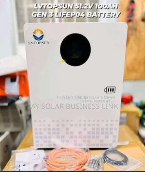 Lvtopsun Lifepo4 Battery
