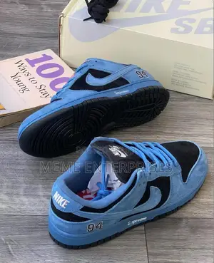 Blue Sb Dunk ____<