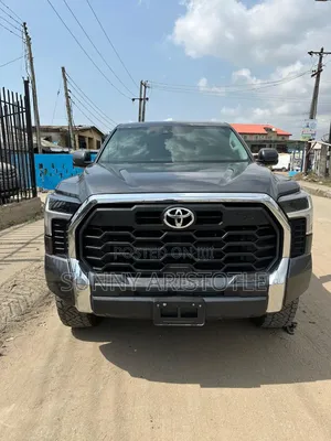 Toyota Tundra 2023 Gray